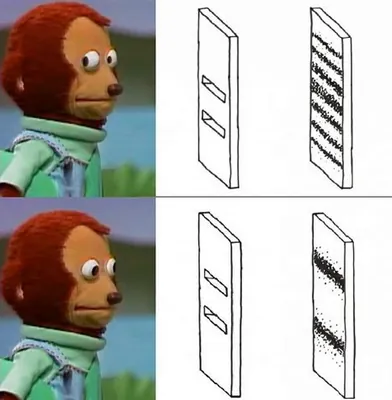 Quantum Monkey Quantum Monkey